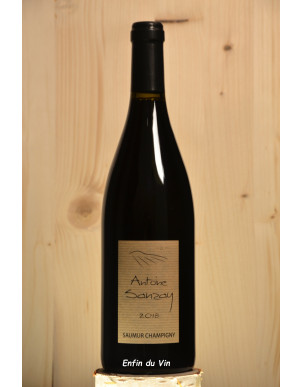antoine sanzay 2018 saumur champigny val de loire cabernet-franc vin rouge bio