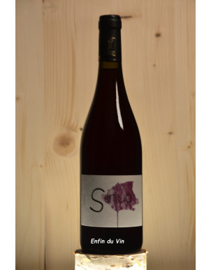 sinua 2019 vin de france domaine régnier-david pineau d'aunis val de loire vin rouge bio biodynamie