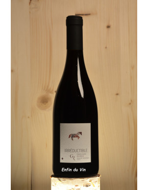 irréductible 2019 vin de france roussely val de loire pineau d'aunis vin rouge bio