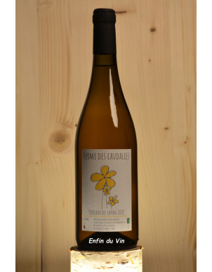 coteaux du layon 2018 la ferme des caudalies val de loire chenin vin bio naturel