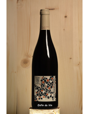 Les Perruches 2017 Chinon Domaine Lambert val de loire cabernet-franc vin rouge bio biodynamie biodyvin