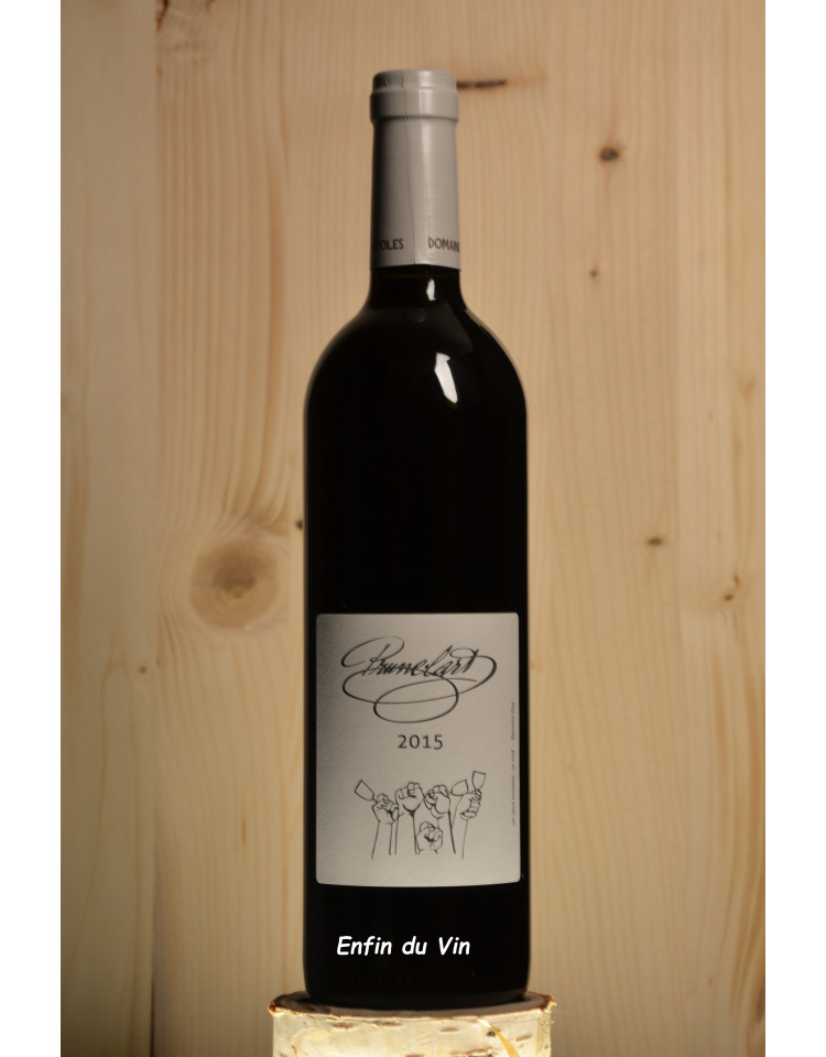 prunelart 2015 côtes du tarn domaine plageoles sud ouest vin rouge bio naturel prunelart 2015 côtes du tarn domaine plageoles sud ouest vin rouge bio naturel