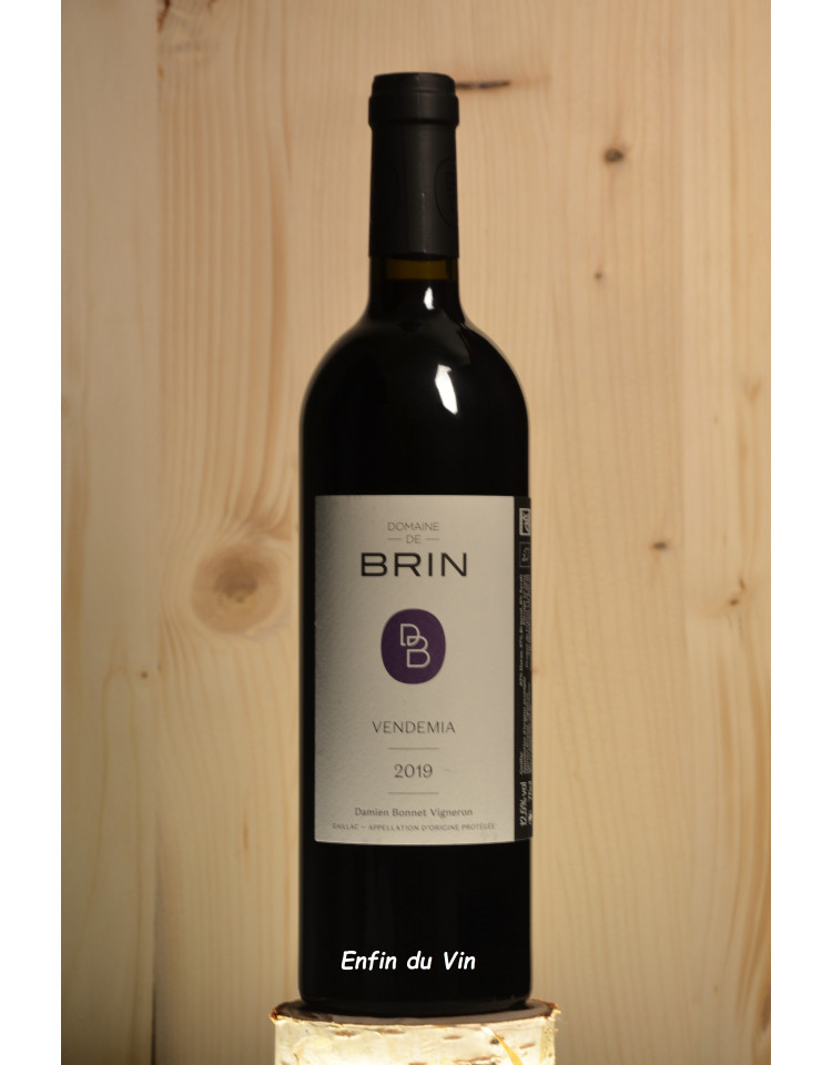 Vendemia 2019 Gaillac Domaine de Brin Sud Ouest Duras Merlot vin rouge biologique
