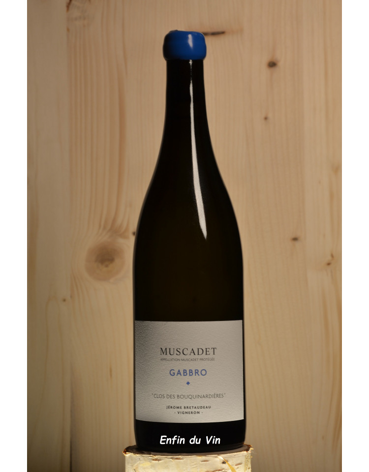 gabbro 2019 muscadet domaine belle vue val de loire melon de bourgogne vin blanc bio biodynamie biodyvin gabbro 2019 muscadet domaine belle vue val de loire melon de bourgogne vin blanc bio biodynamie biodyvin