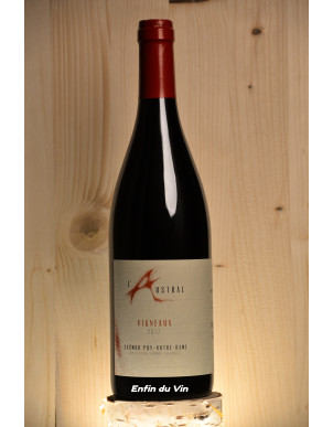 les vigneaux 2017 saumur puy notre dame domaine l'austral val de loire cabernet-franc vin rouge bio