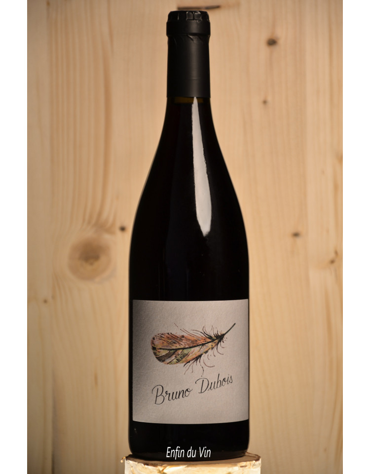 Plume 2018 Saumur Champigny Dubois Cabernet-Franc Val de Loire Plume 2018 Saumur Champigny Dubois Cabernet-Franc Val de Loire