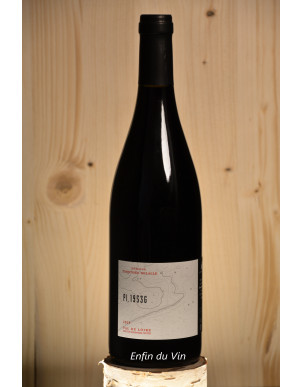 pl 1953 G 2019 Val de Loire Delalle Gamay vin rouge
