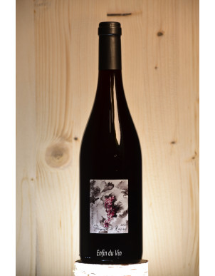 poignée de raisin 2020 côtes du rhône domaine gramenon grenache noir vin rouge biologique biodynamique naturel rhône